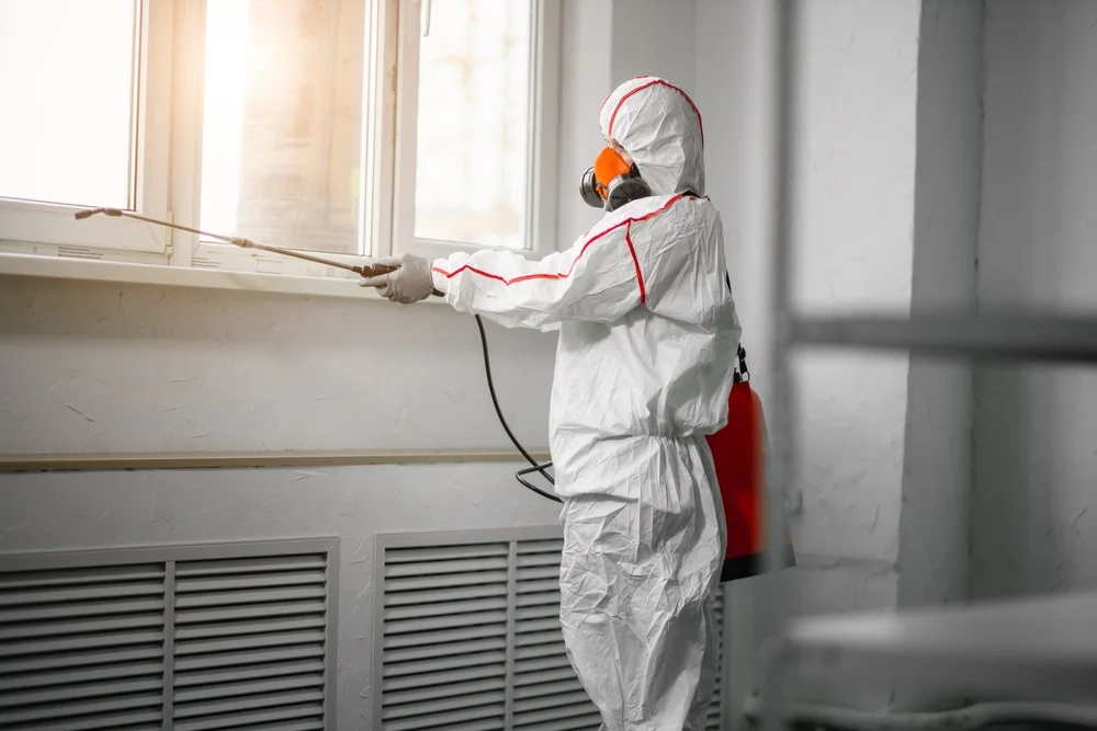Professional mold remediation services in Six Lakes, MI